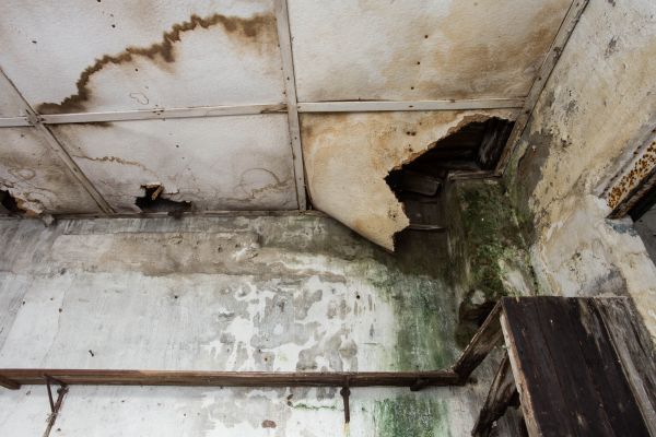 Water Damage Service in Powder Springs