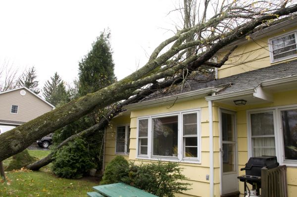 Hurricane Damage Repair in Powder Springs